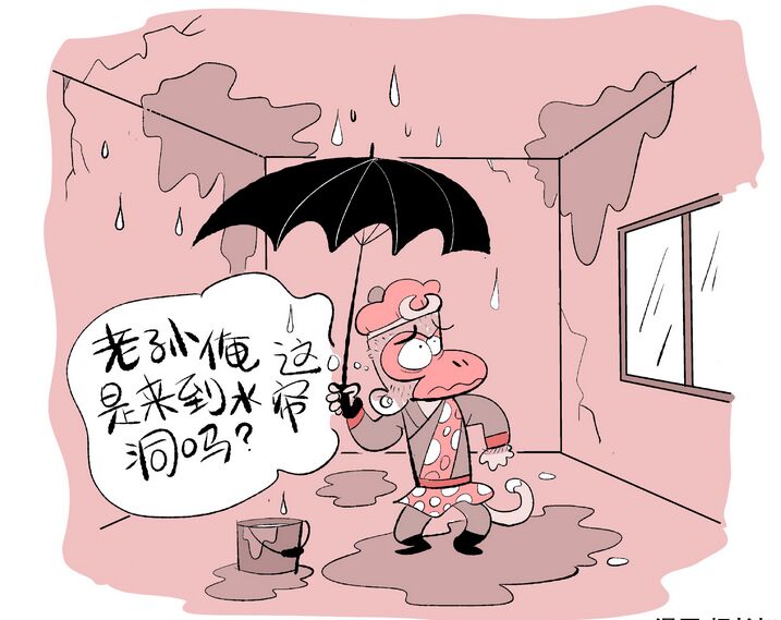 ǵݱB©eНB͸_100%